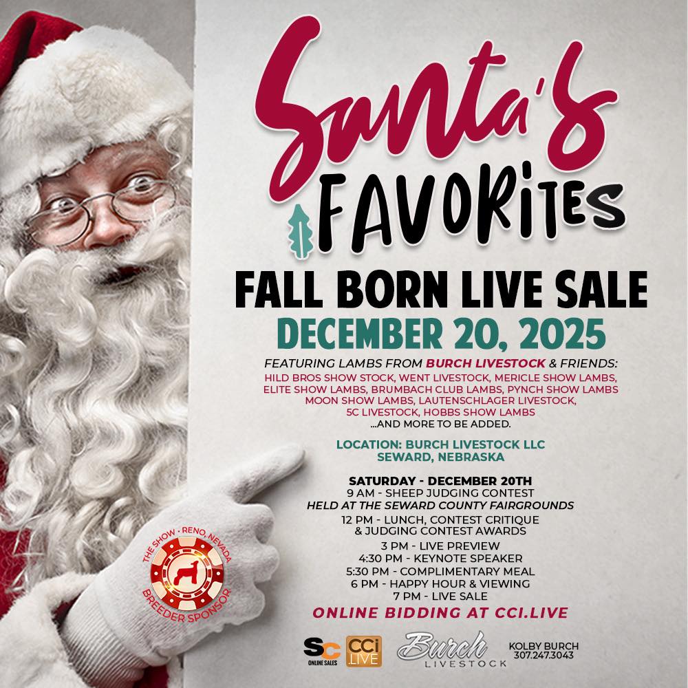 Burch Livestock, LLC Presents: Santa’s Favorites Fall Born Live Sale photo