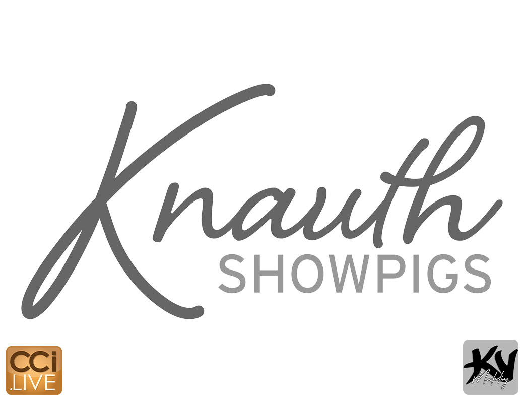 Knauth Showpigs Farm Sale photo