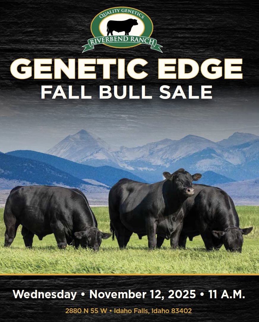 Riverbend Ranch Genetic Edge Fall Bull Sale photo