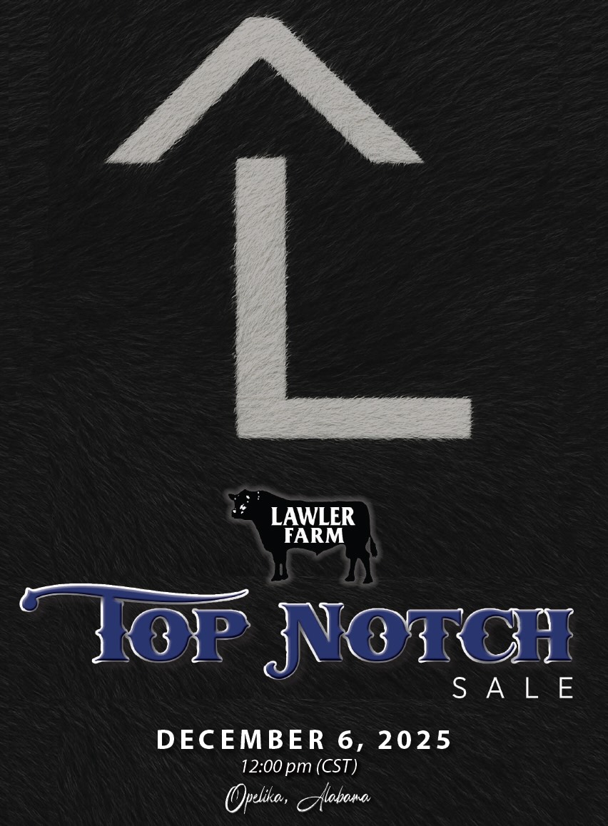 Lawler Farm Top Notch Bull Sale photo