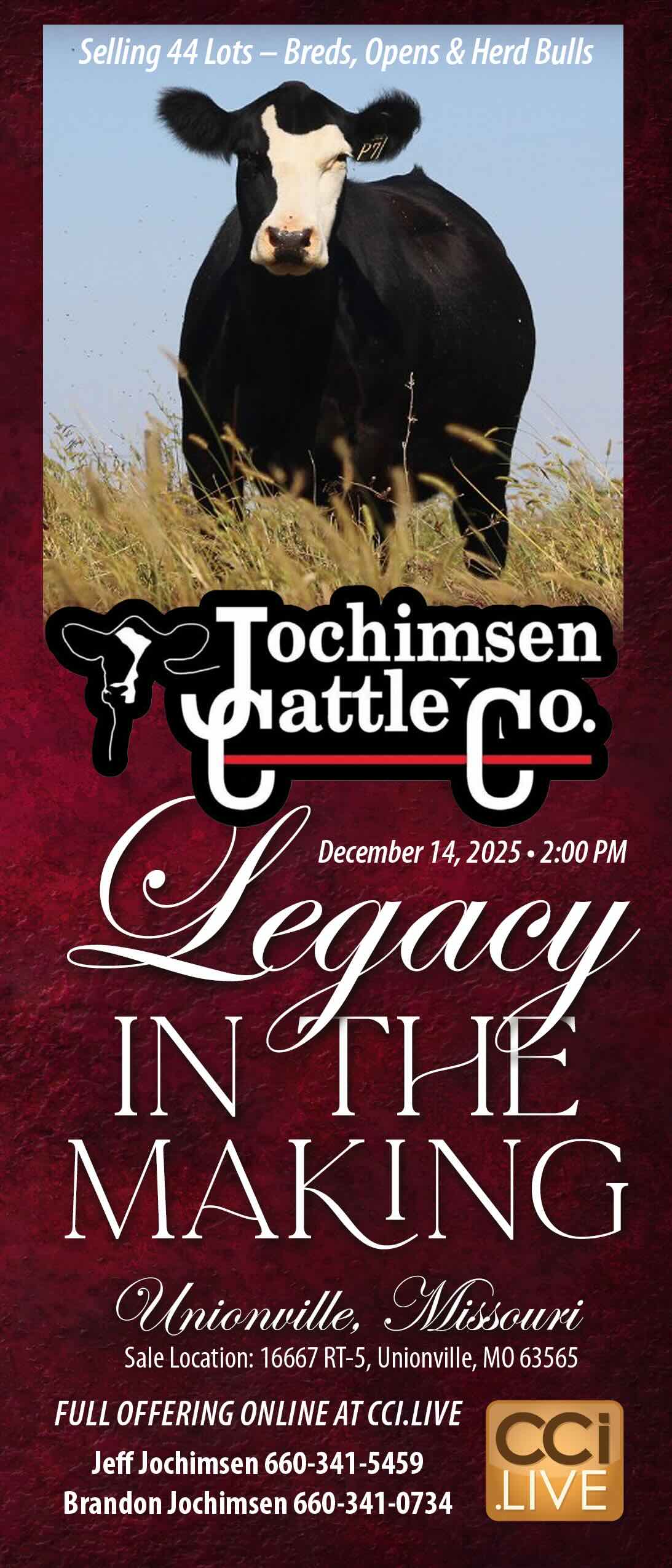 Jochimsen Cattle Co. Legacy in the Making sale photo