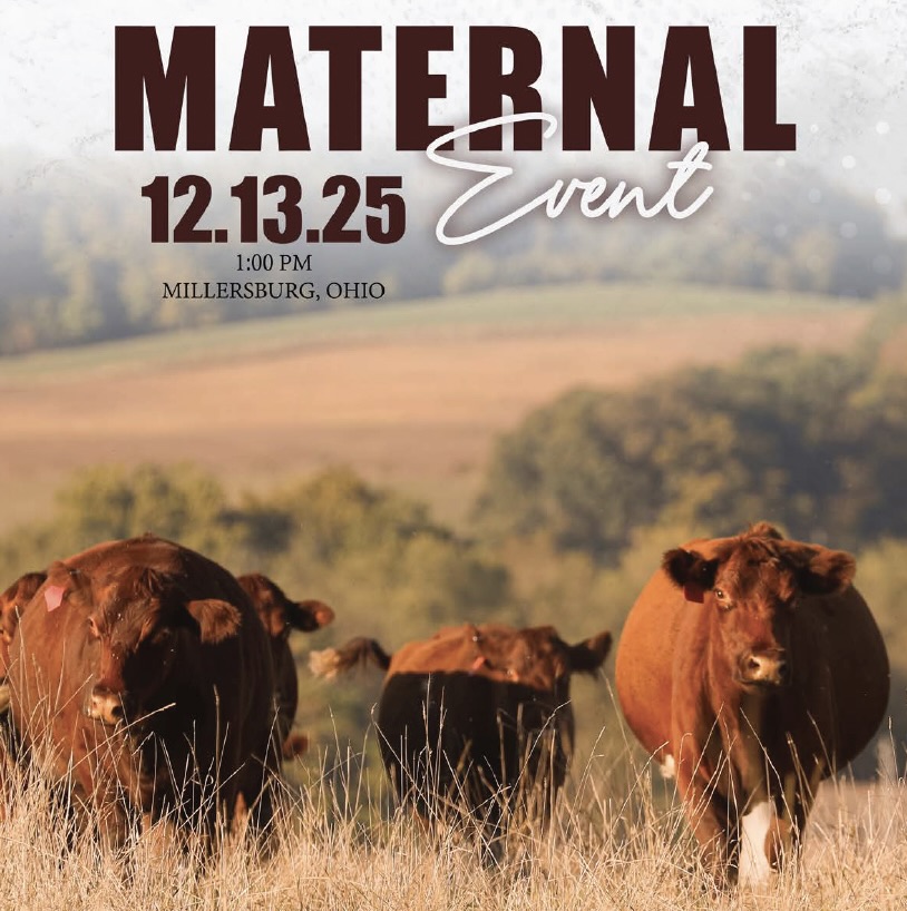 Maternal Event photo