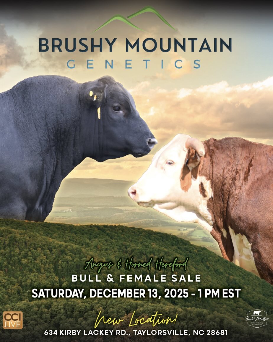 Brushy Mountain Genetics Sale photo