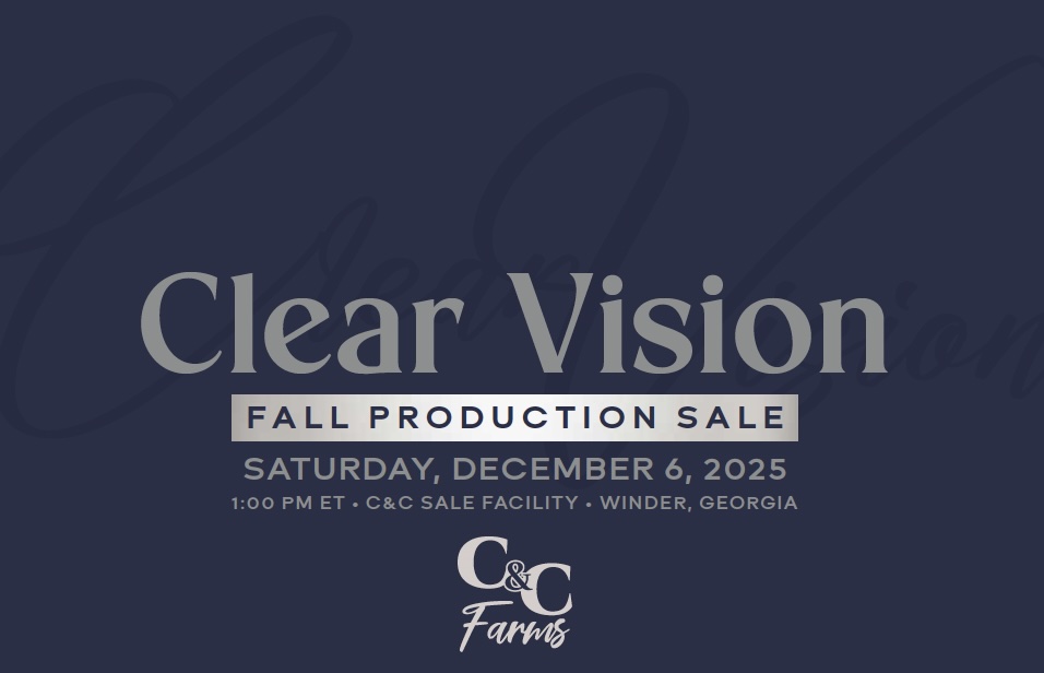 C&C Farms Clear Vision Production Sale photo