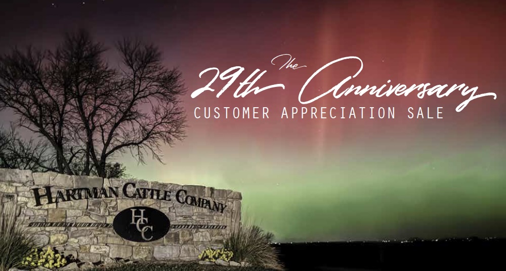 Hartman Cattle Co. Sale photo