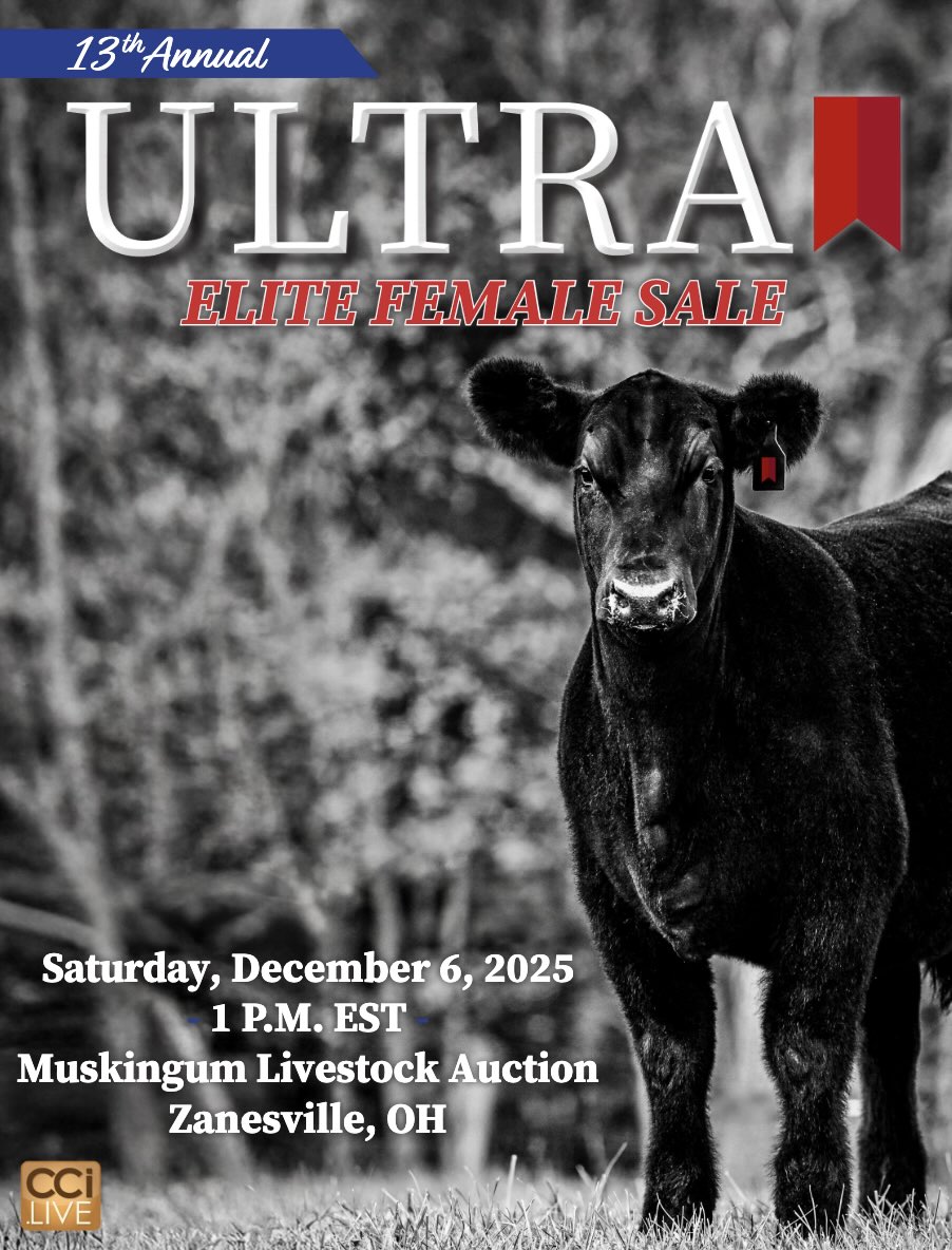 13th Annual Ultra Elite Female Sale photo