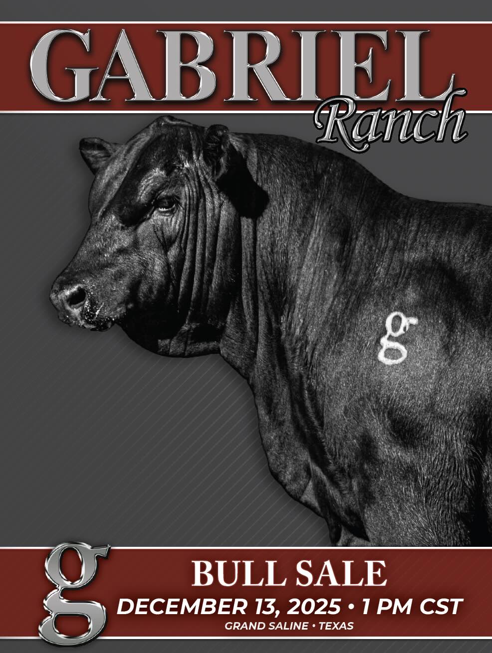Gabriel Ranch Angus Bull Sale photo