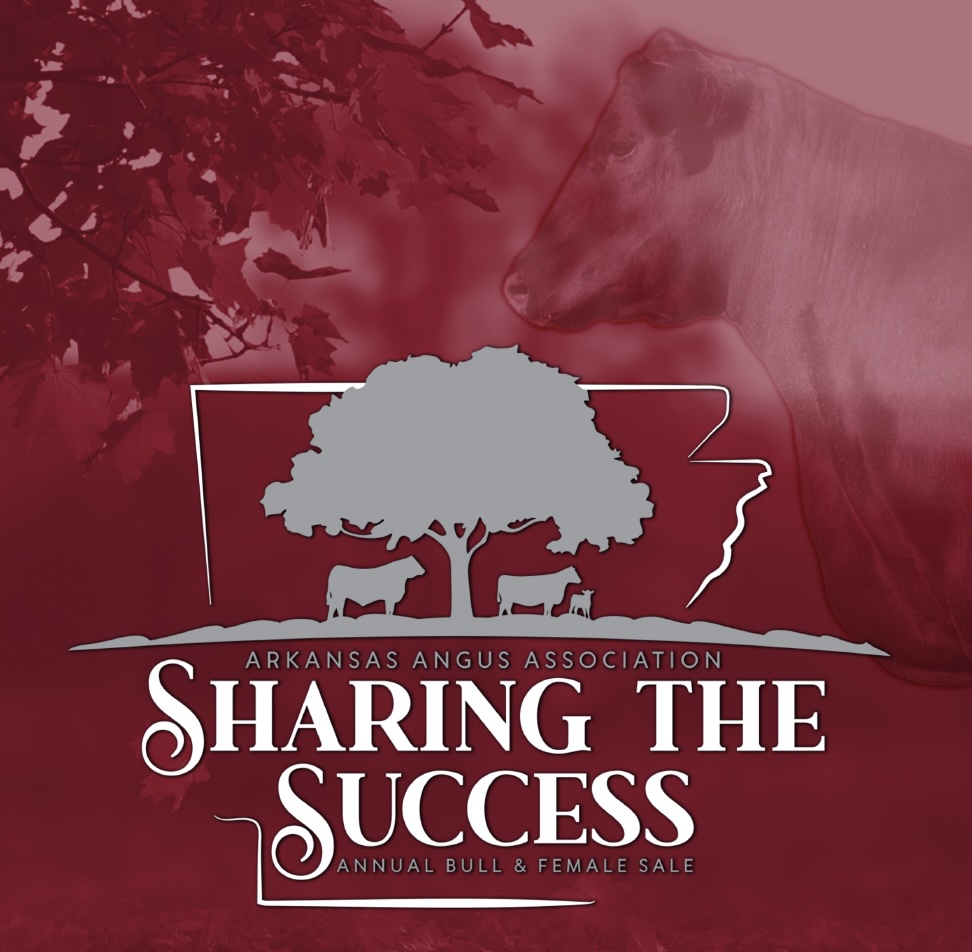 Arkansas Angus Association Sharing The Success photo