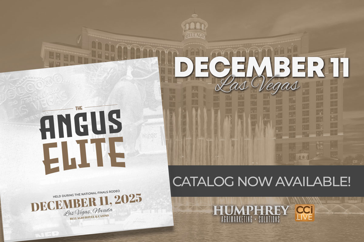 Angus Elite Las Vegas photo