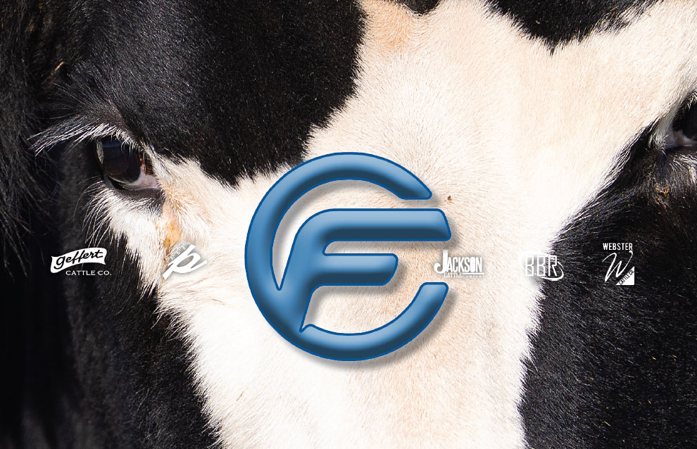 Combined Forces Sale photo