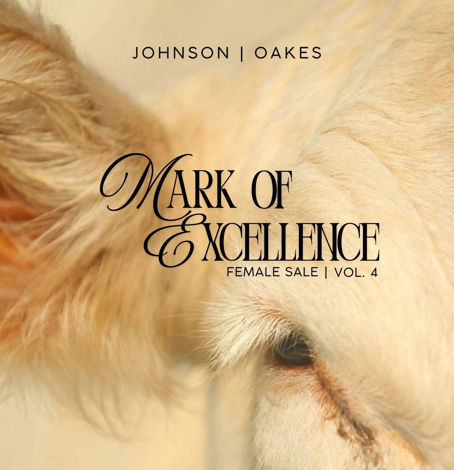 Mark of Excellence Female Sale Vol. 4 photo