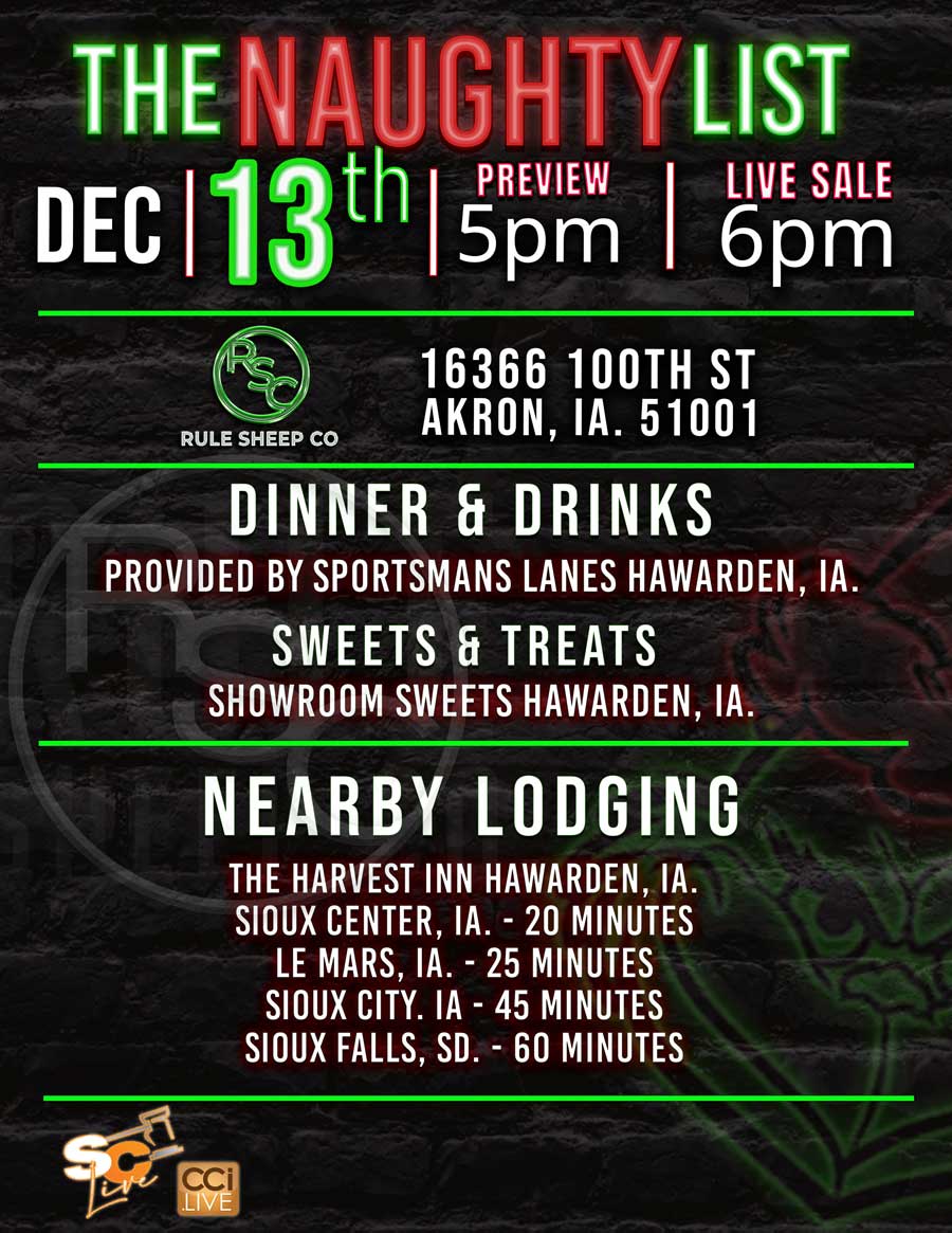 The Naughty List Live Fall Born Sale photo