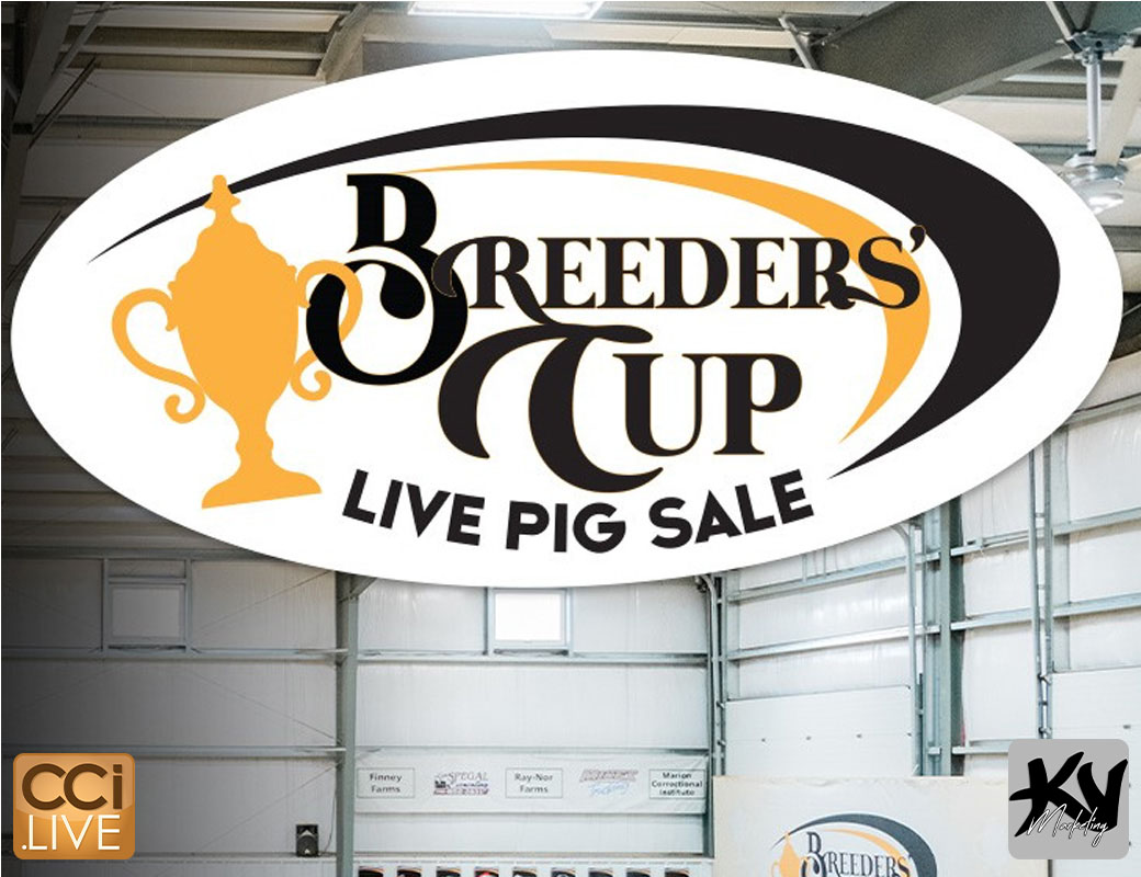 Breeders Cup Pig Sale photo