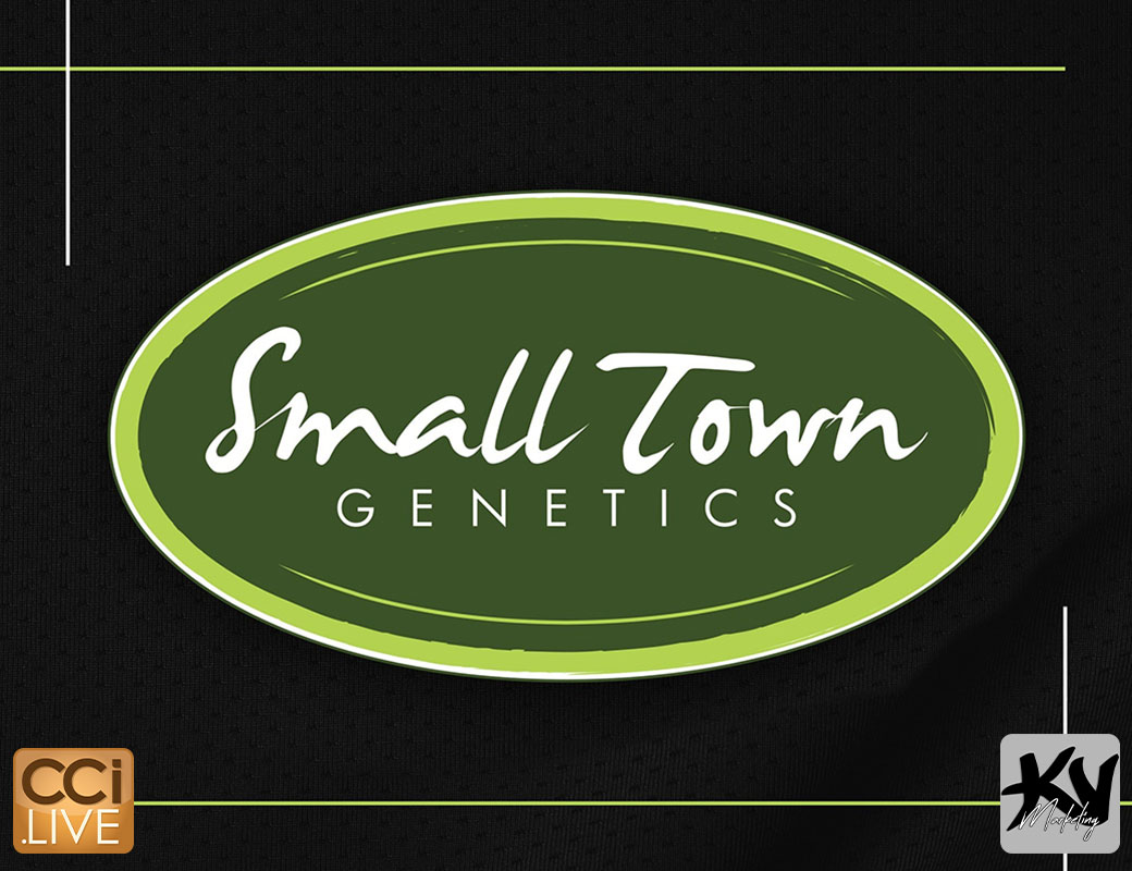 Small Town Genetics - Farm Sale #1 photo