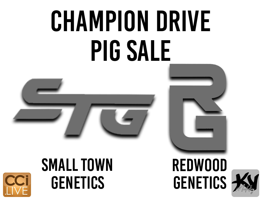 Champions Drive Pig Sale #1 photo