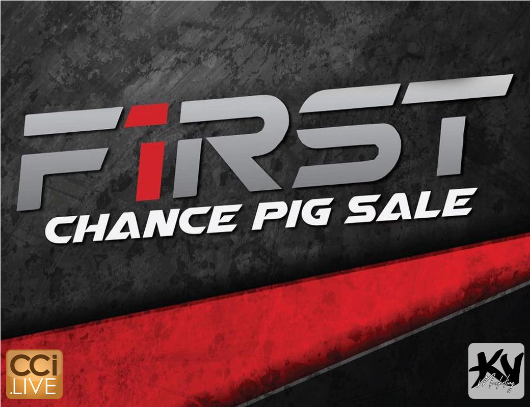 First Chance Pig Sale photo