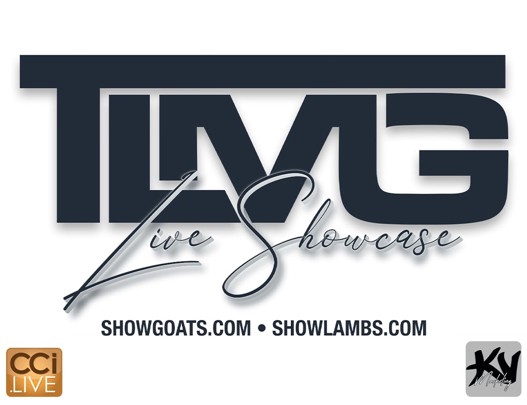 TLMG - Live Showcase photo