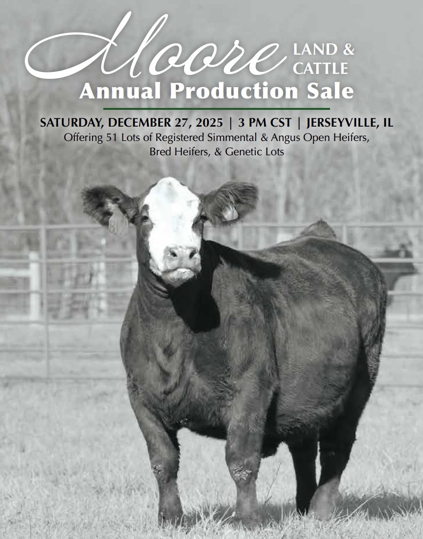 Moore Land & Cattle Production Sale photo