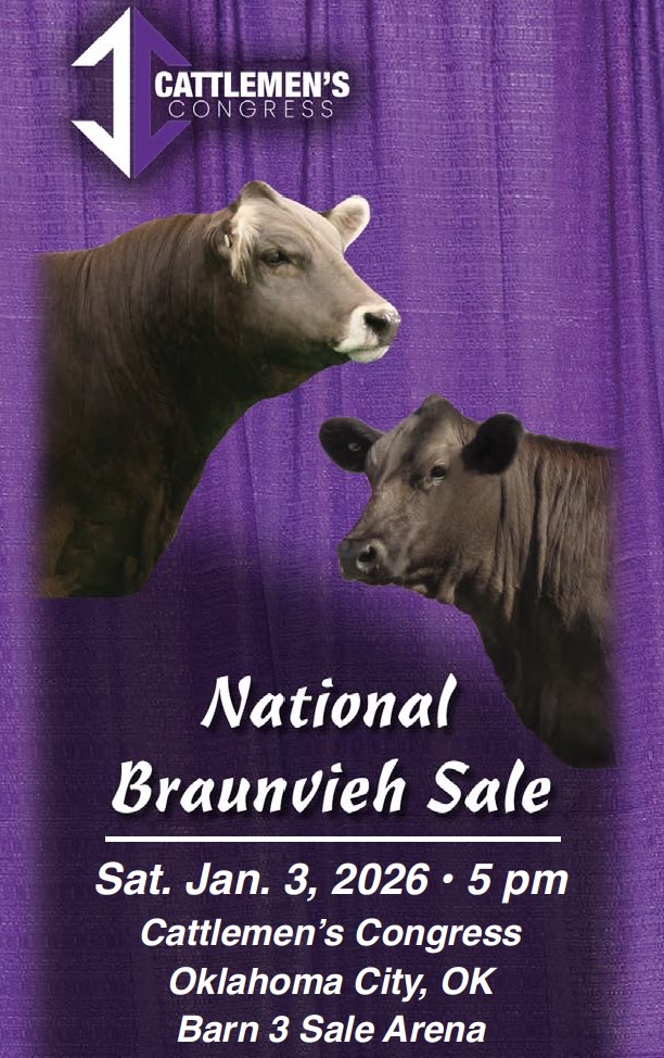 Braunvieh Association of America National Sale photo