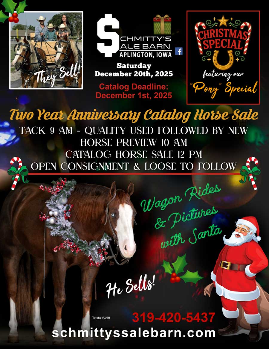 Schmitty’s Sale Barn Horse Sale & Preview photo