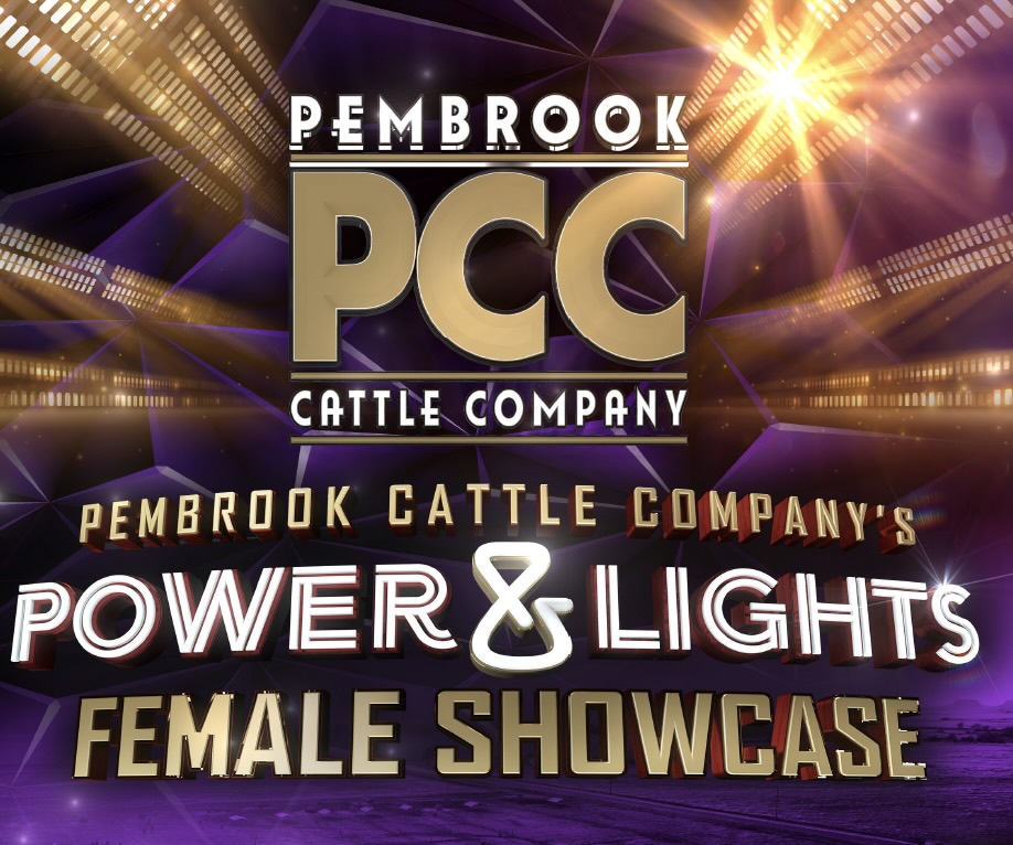 Pembrook Cattle Company’s Power & Lights Female Showcase photo