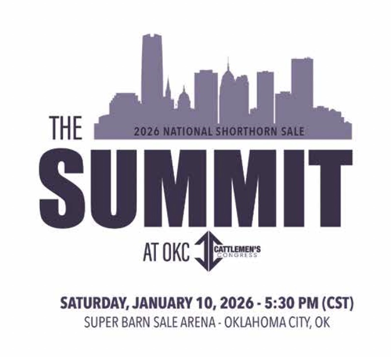 The Summit Shorthorn OKC Sale photo