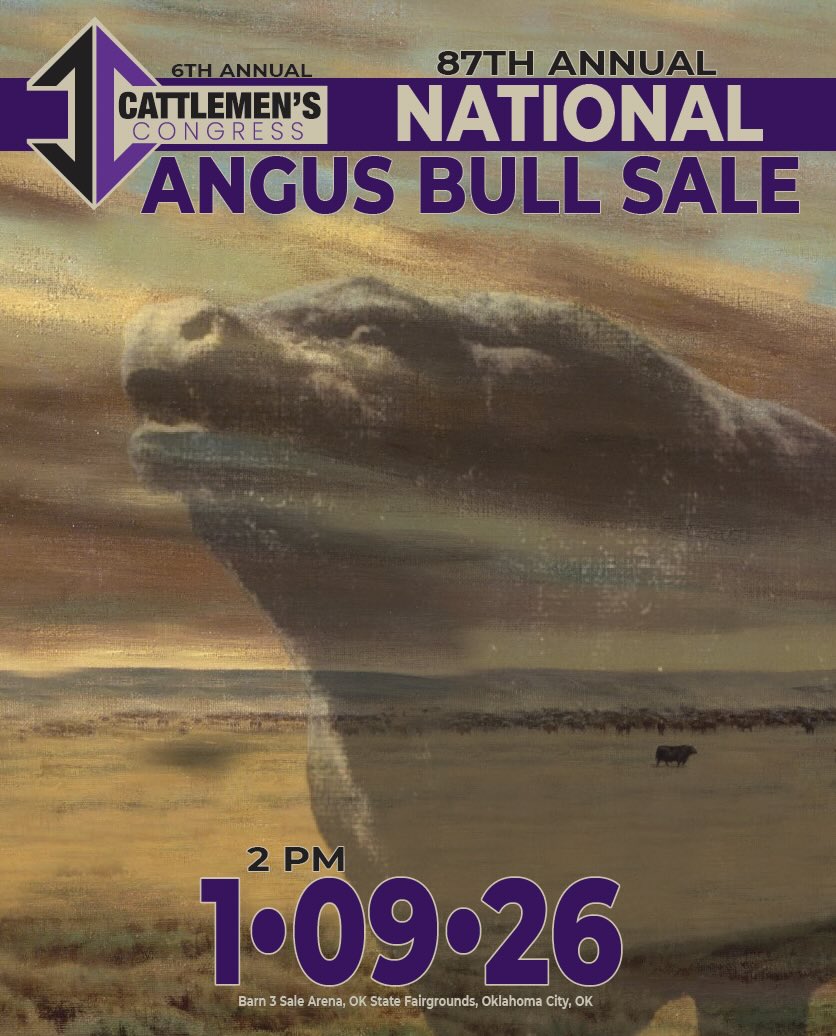 National Angus Bull Sale photo