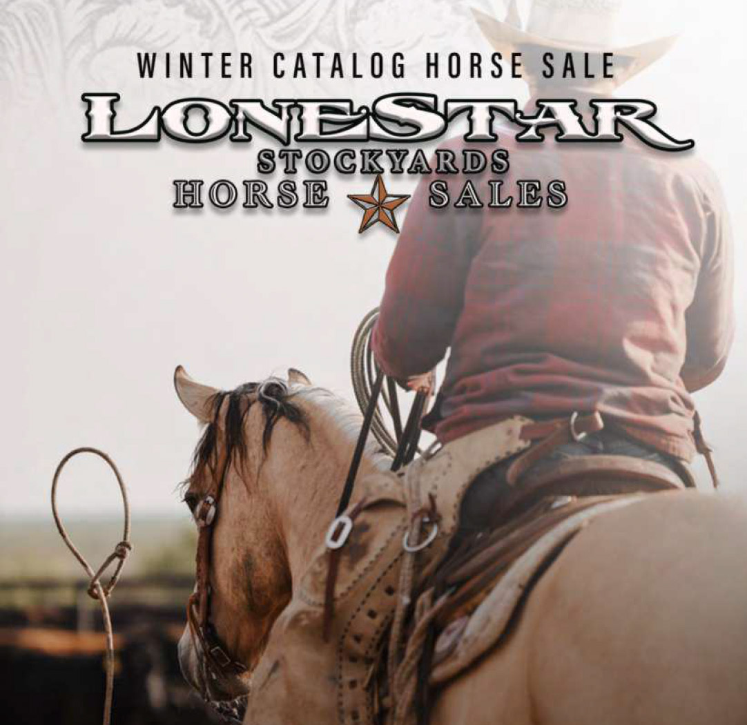 Lonestar Stockyards Horse Sales photo