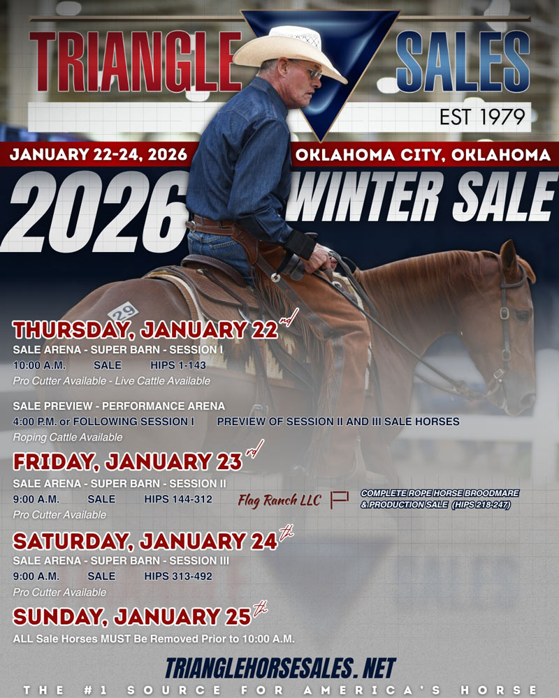 Triangle Winter Horse Sale photo