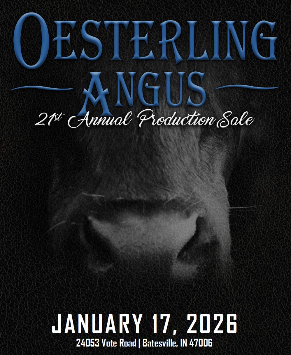 Oesterling Angus Sale photo