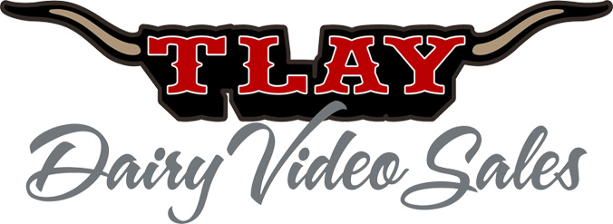 TLAY October Dairy Video Sale photo