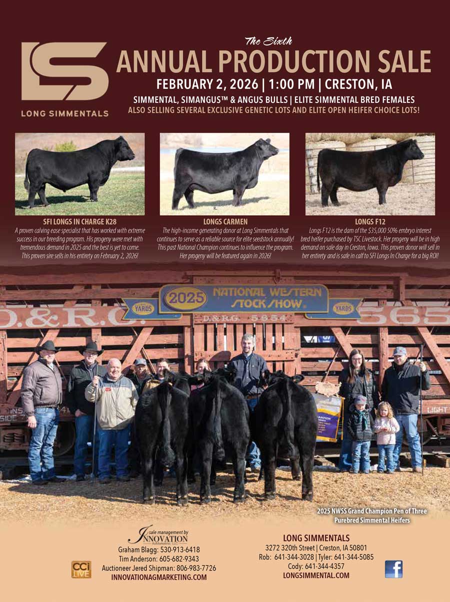 Long Simmental Annual Production Sale photo