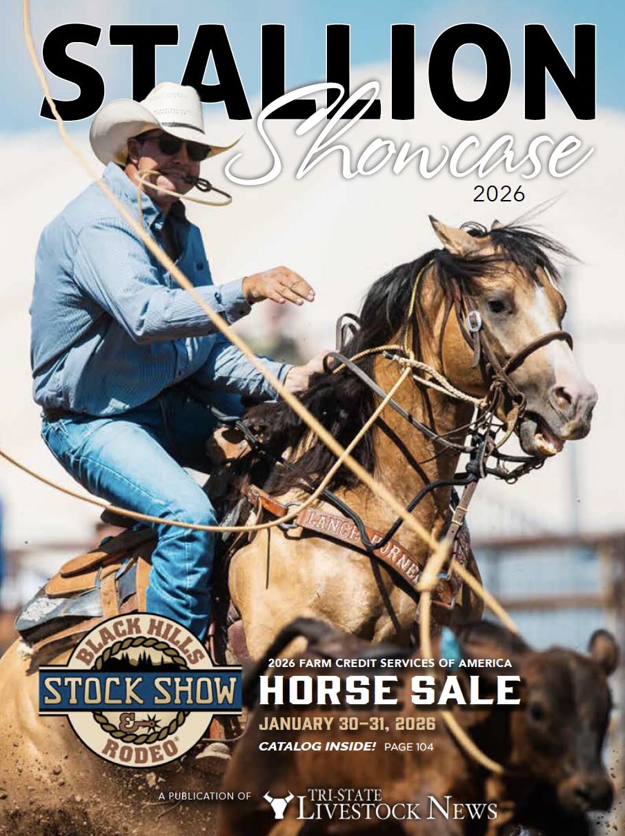 Black Hills Stock Show and Rodeo Horse Sale photo