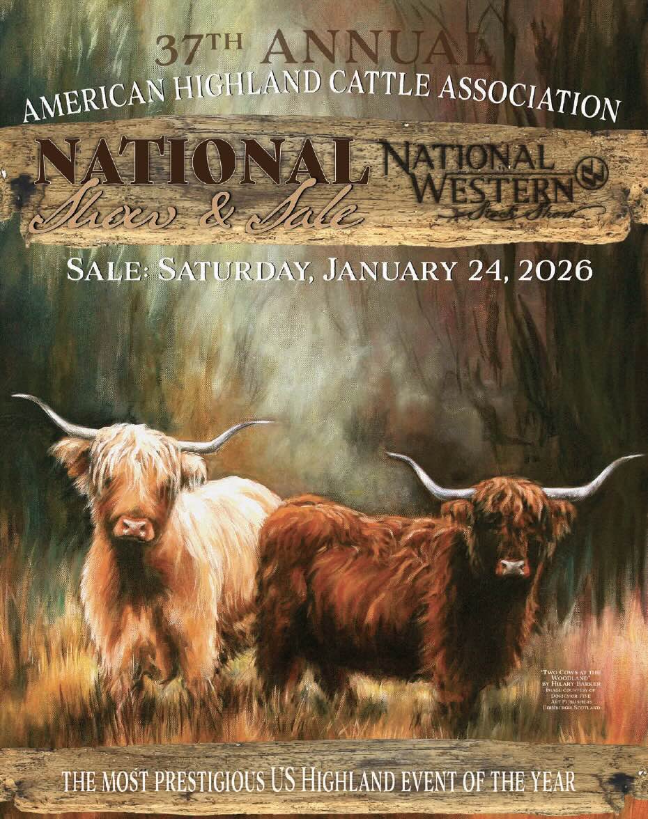 37th Annual American Highland National Sale photo