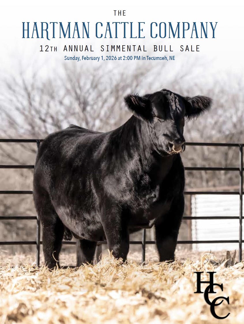 Hartman Cattle Co Bull Sale photo