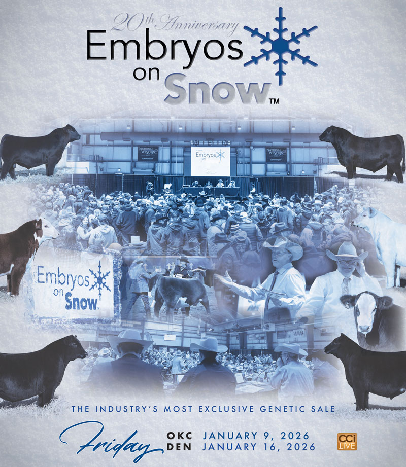 Embryos on Snow-Denver View Only photo