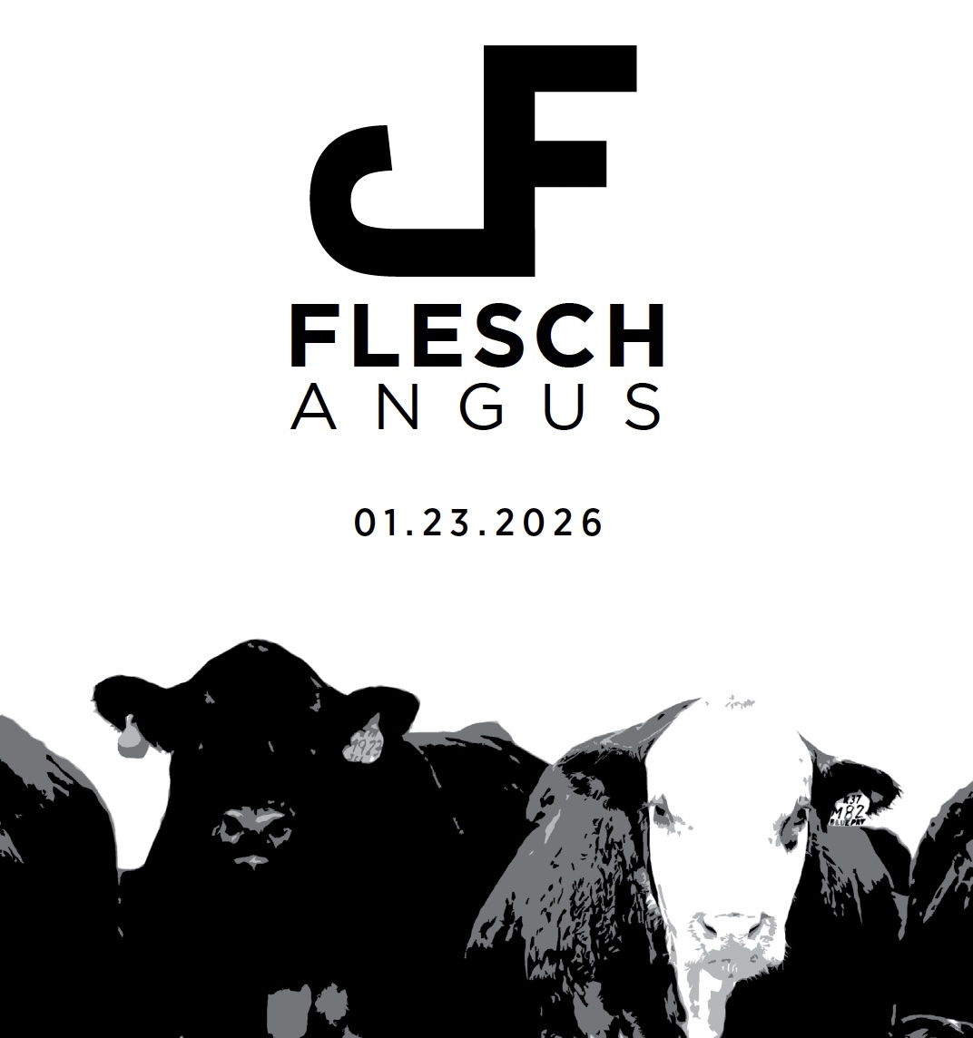 Flesch Angus Production Sale photo