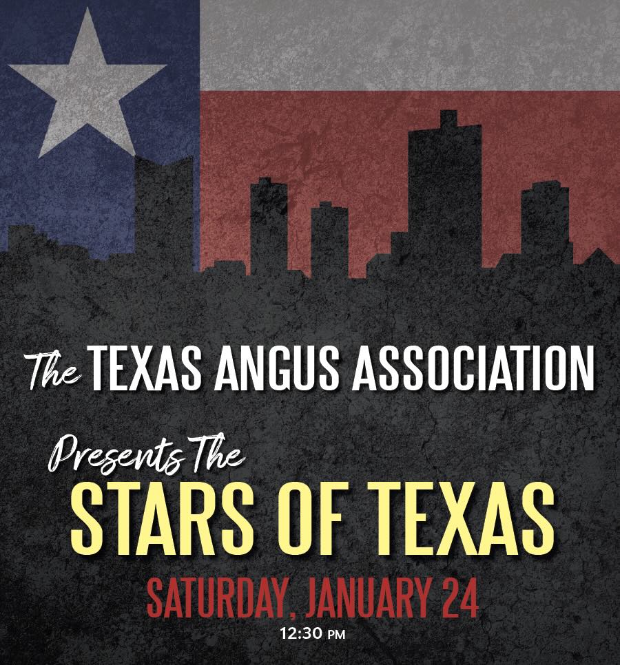 Stars of Texas Angus Female Sale photo