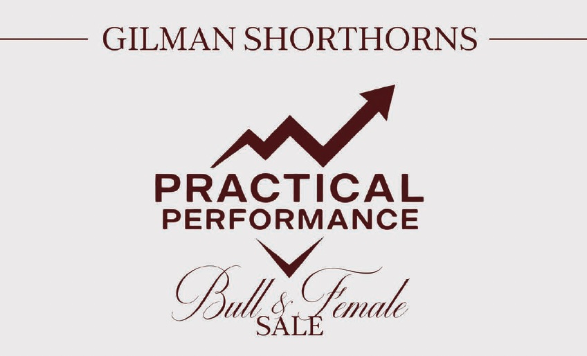 Gilman Family Practical Performance Bull Sale photo