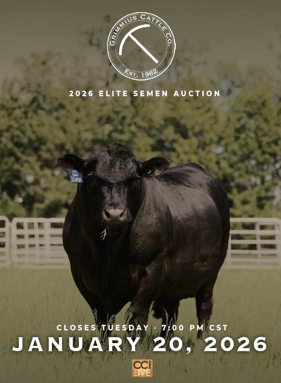 Grimmius Cattle Co January Elite Semen Auction photo