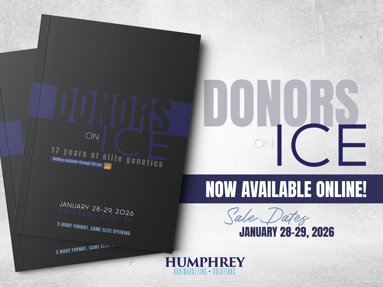Donors on Ice photo