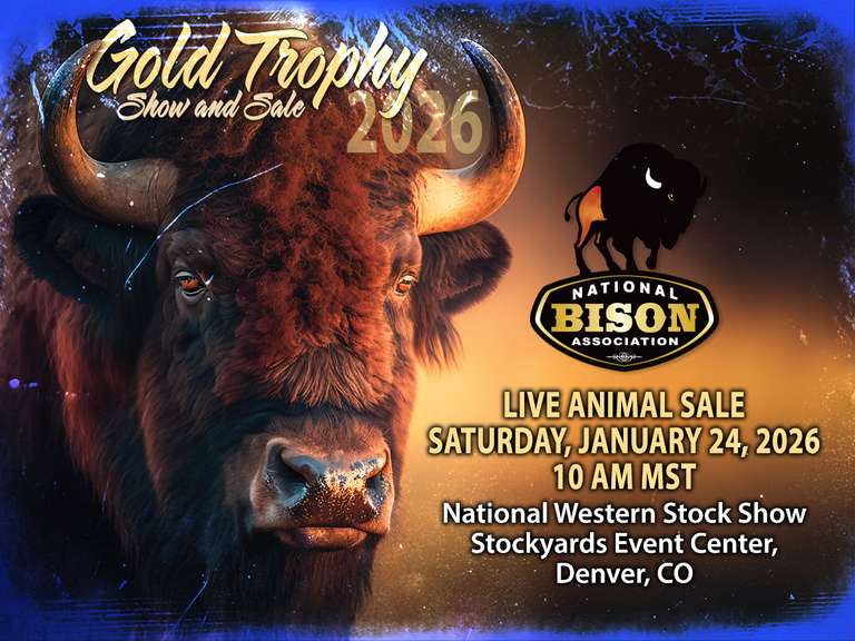 2026 National Bison Association Gold Trophy Show & Sale photo