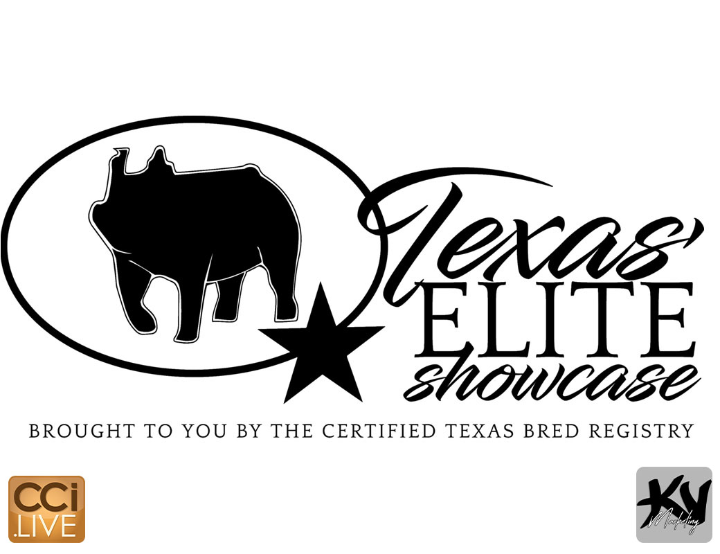 Texas Elite Showcase Gilt Sale photo