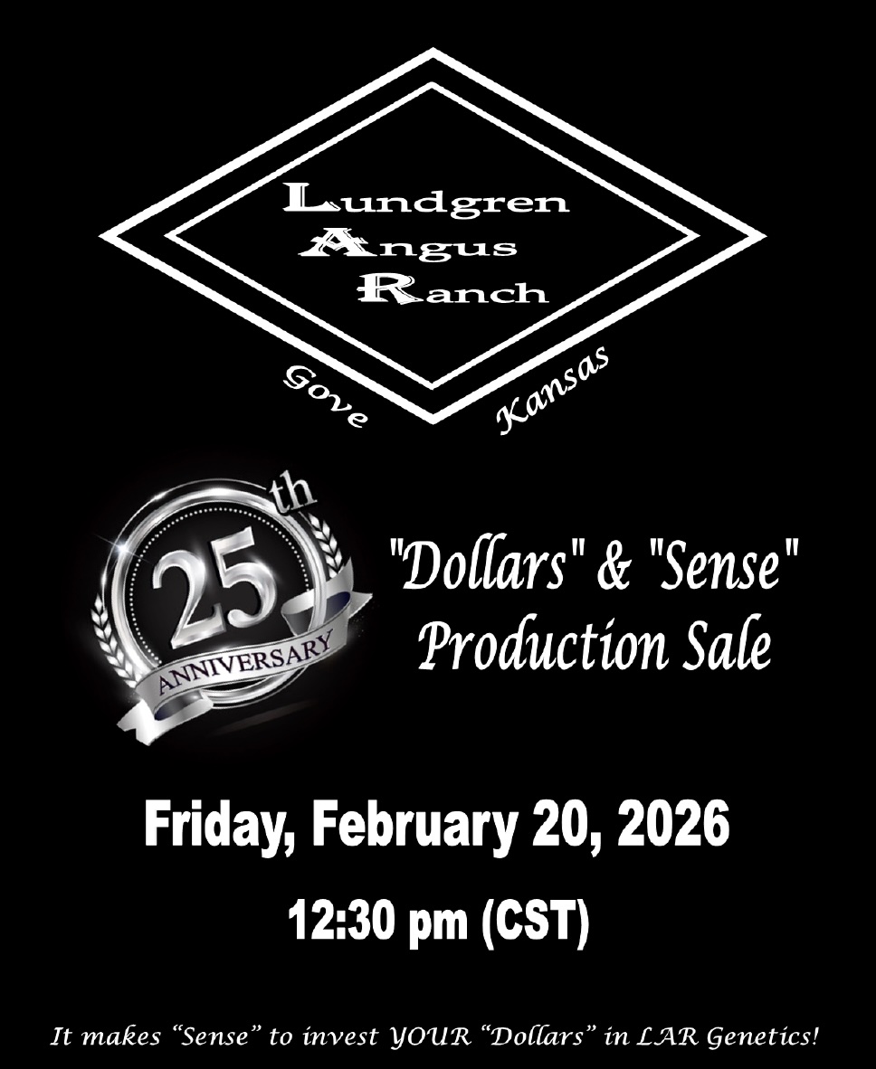 Lundgren Angus Ranch Sale photo