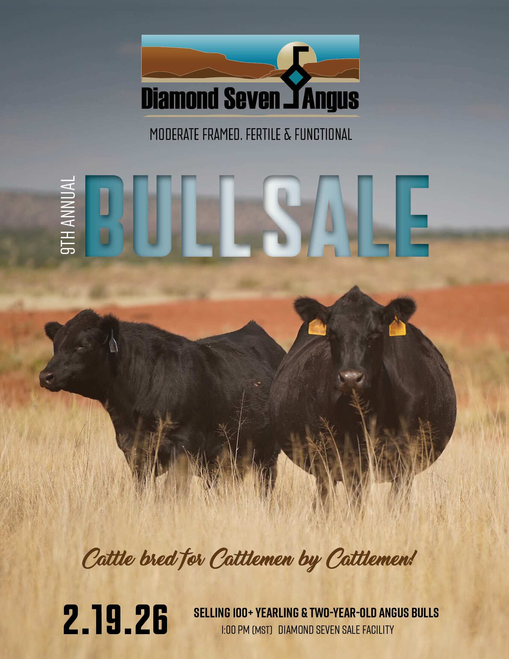 Diamond Seven The 9th Annual Angus Bull Sale photo