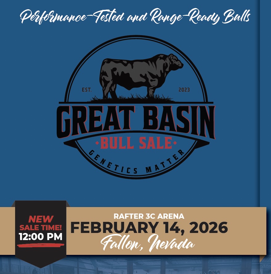 Great Basin Bull Sale photo