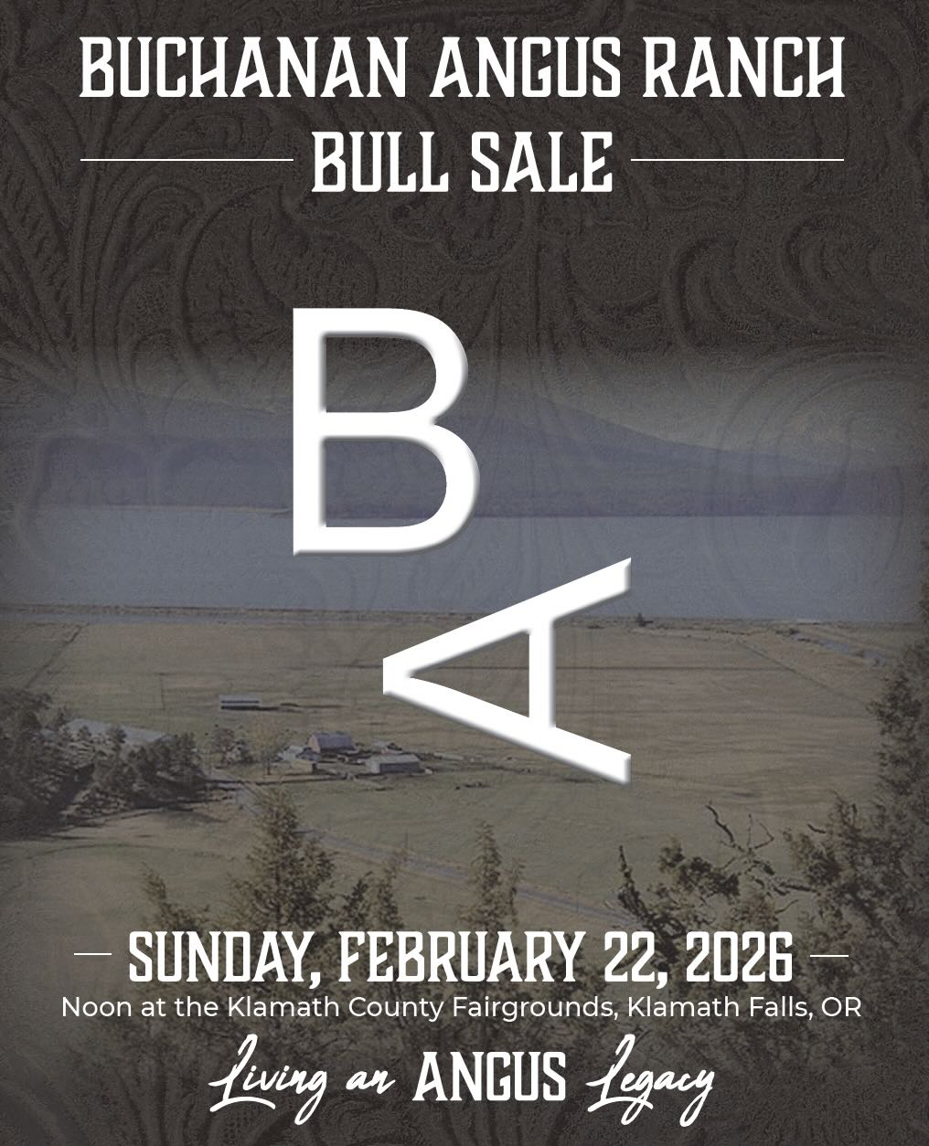 Buchanan Angus Ranch Bull Sale photo
