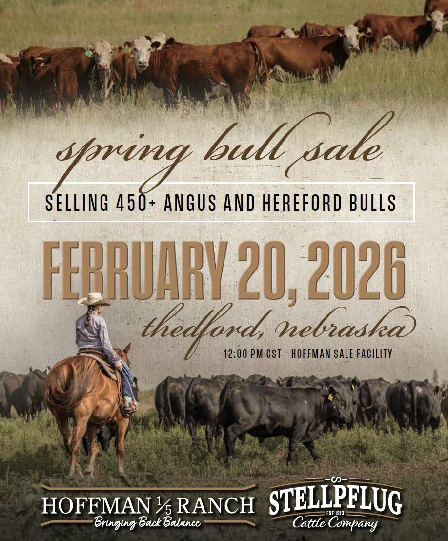 Hoffman Ranch Spring Bull Sale photo