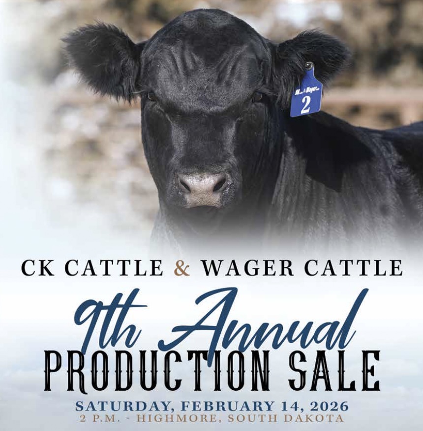 CK Cattle & Wager Cattle Production Sale photo