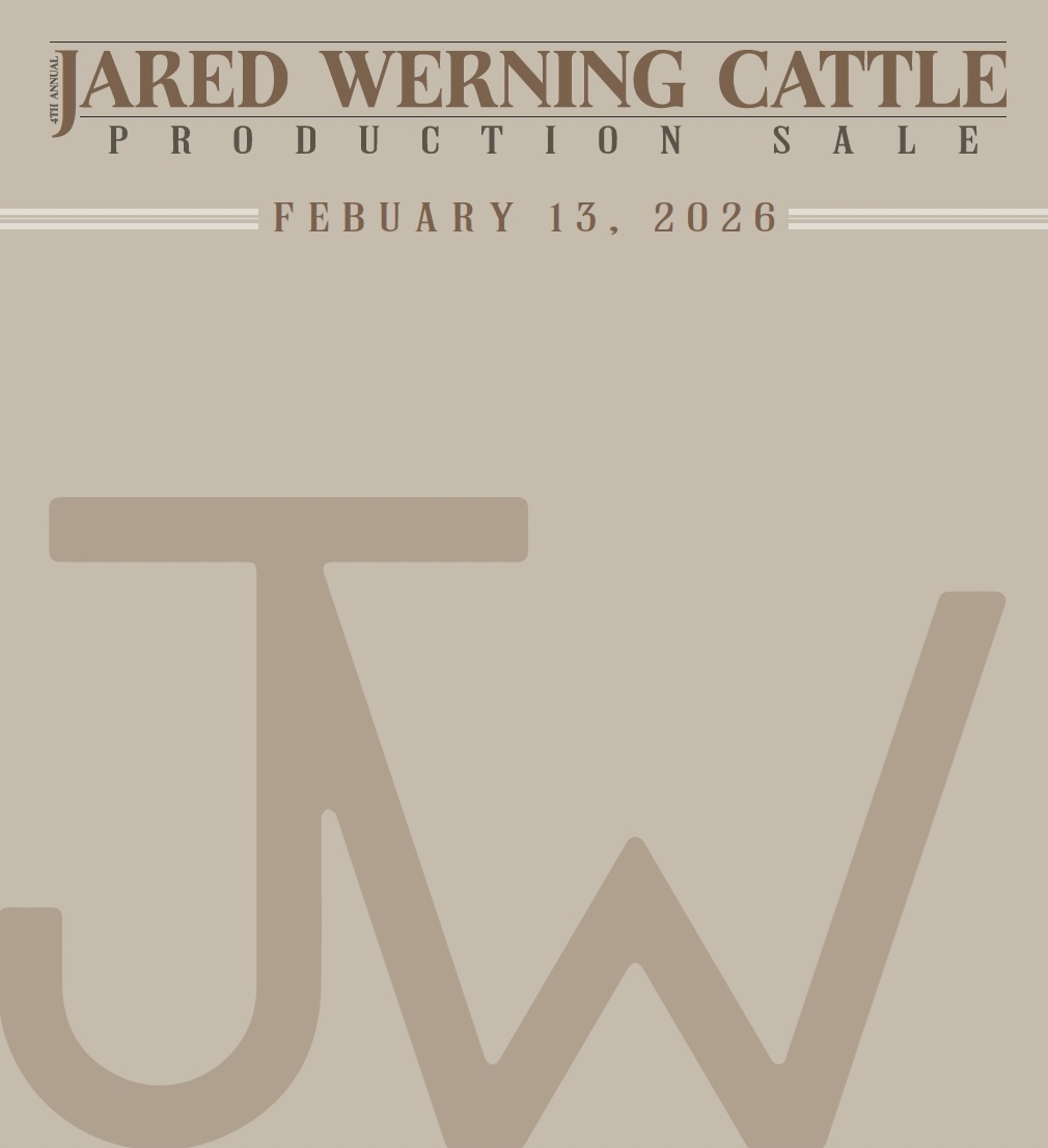 Jared Werning Cattle Production Sale photo